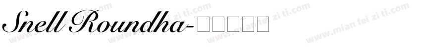 Snell Roundha字体转换